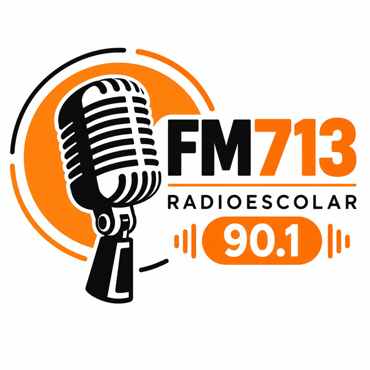 Logo de 713Radio